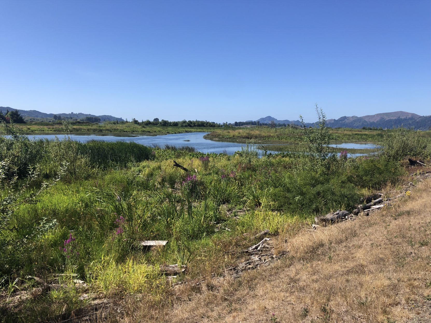 Julia Butler Hansen refuge